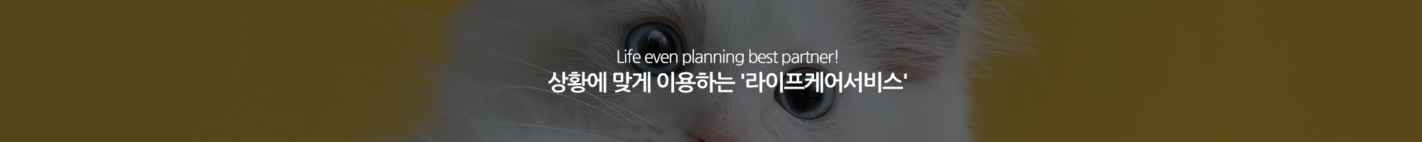 (주)모두펫상조_이미지pc